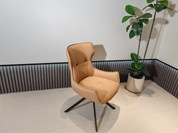 Dining Chair DX-2591 | FONDHOUSE