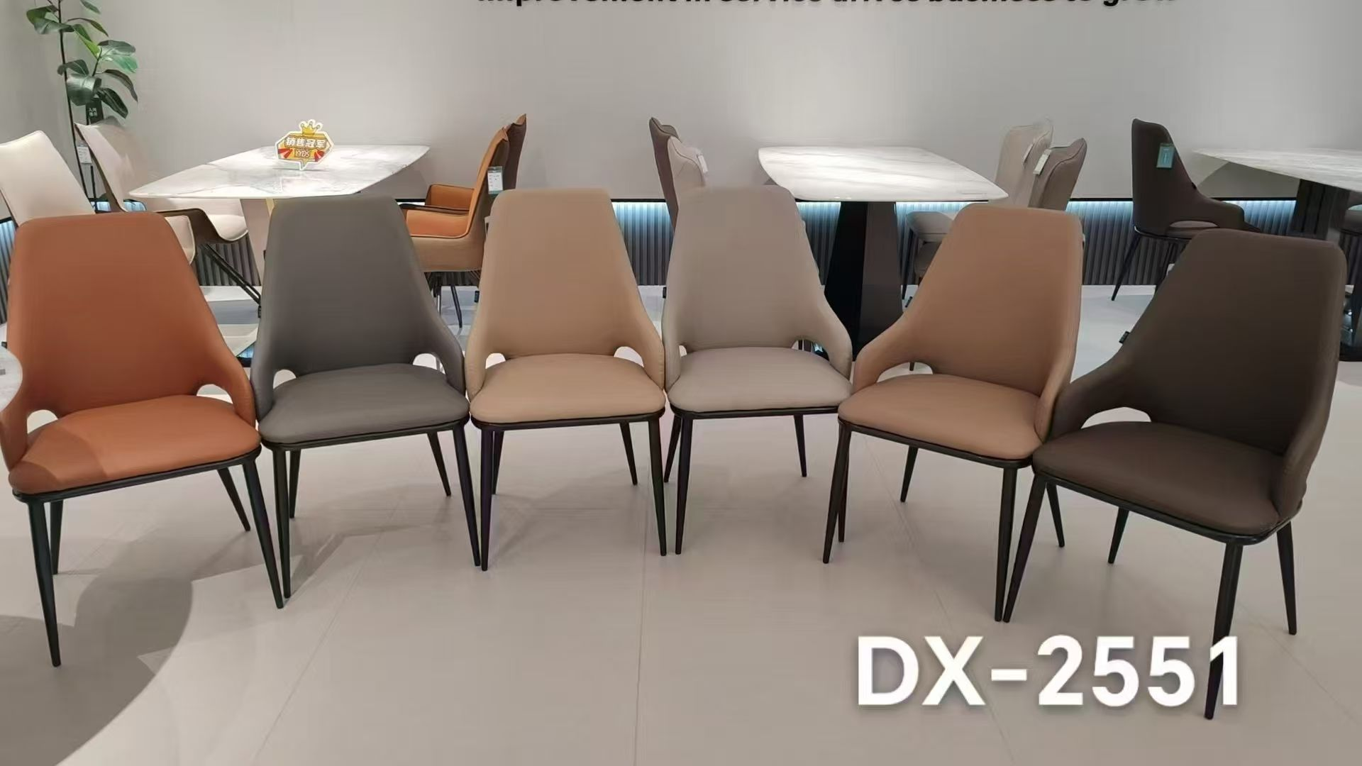 Dining Chair DX-2551 | FONDHOUSE