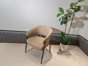 Dining Chair DX-2569 | FONDHOUSE