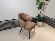 Dining Chair DX-2590 | FONDHOUSE