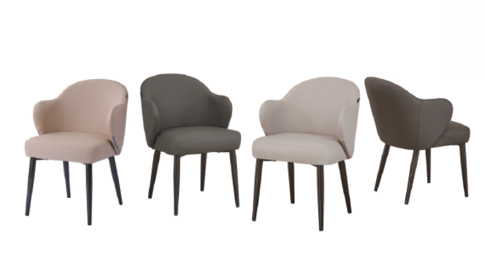 Dining Chair DX-2590 | FONDHOUSE