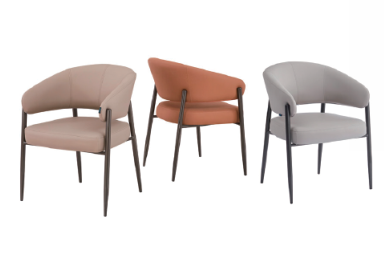 Dining Chair DX-2569 | FONDHOUSE