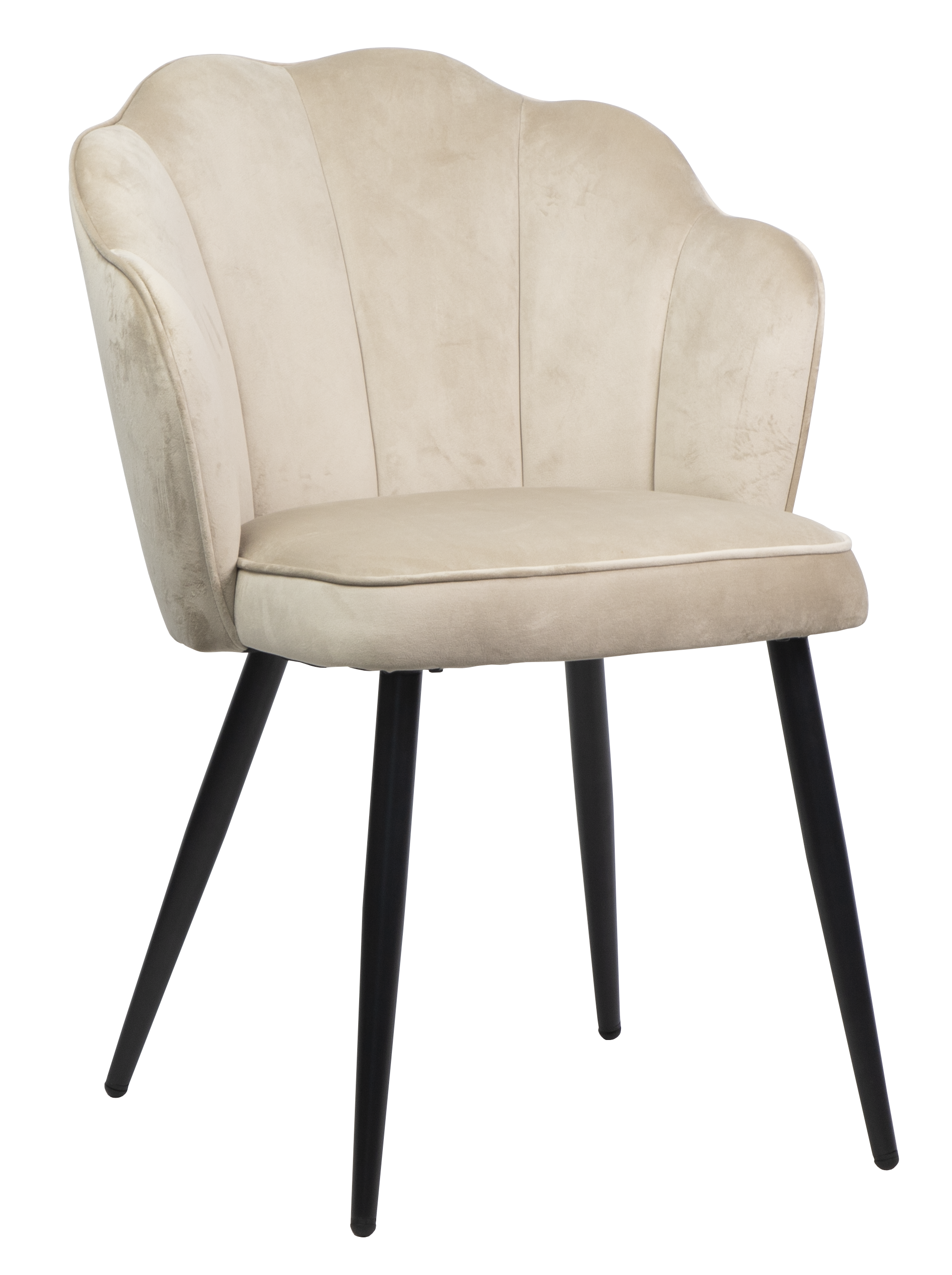 Dining chair HTC0579 | HOMETREE