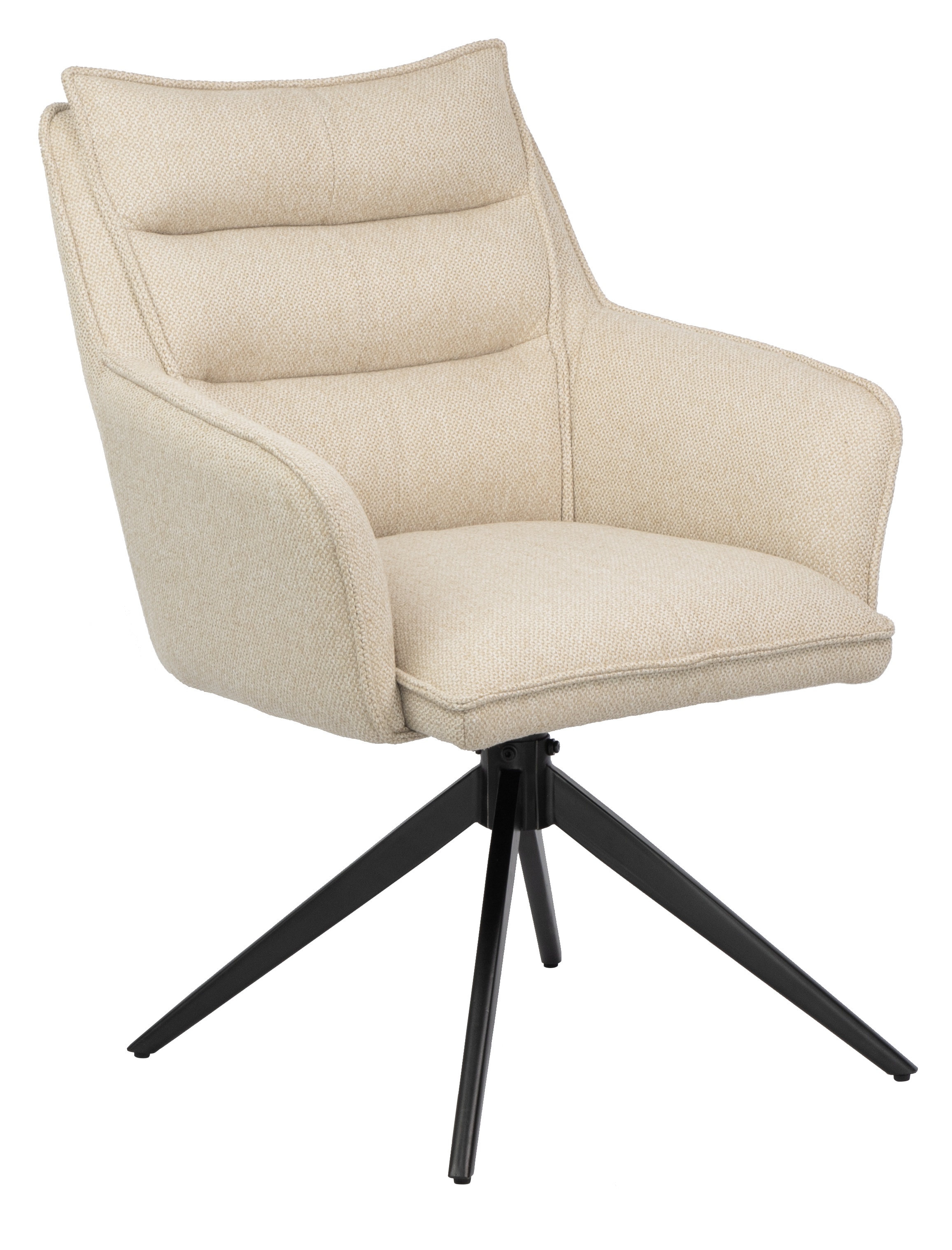 Dining chair HTC0529 | HOMETREE