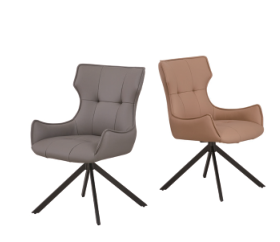 Dining Chair DX-2591 | FONDHOUSE