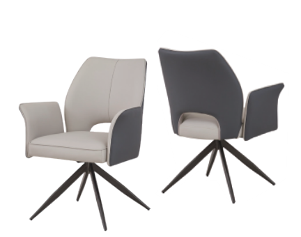 Dining Chair DX-2589 | FONDHOUSE