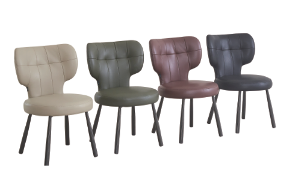 Dining Chair DX-2925 | FONDHOUSE