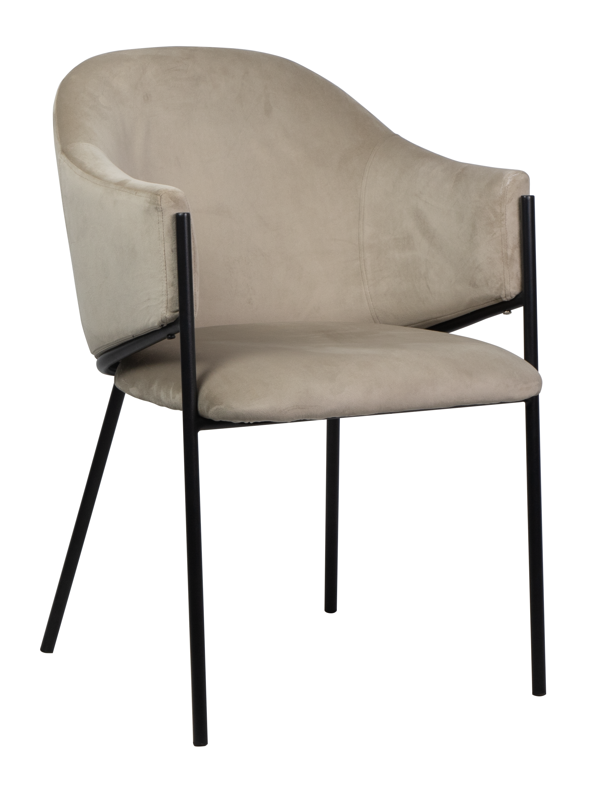 Dining chair HTC0541 | HOMETREE