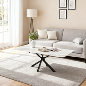 Rectangle Coffee Table LKC262CTAWS | FONDHOUSE