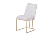 Gold Chromed Dining Chair HT08（2 Chairs） | Fondhouse