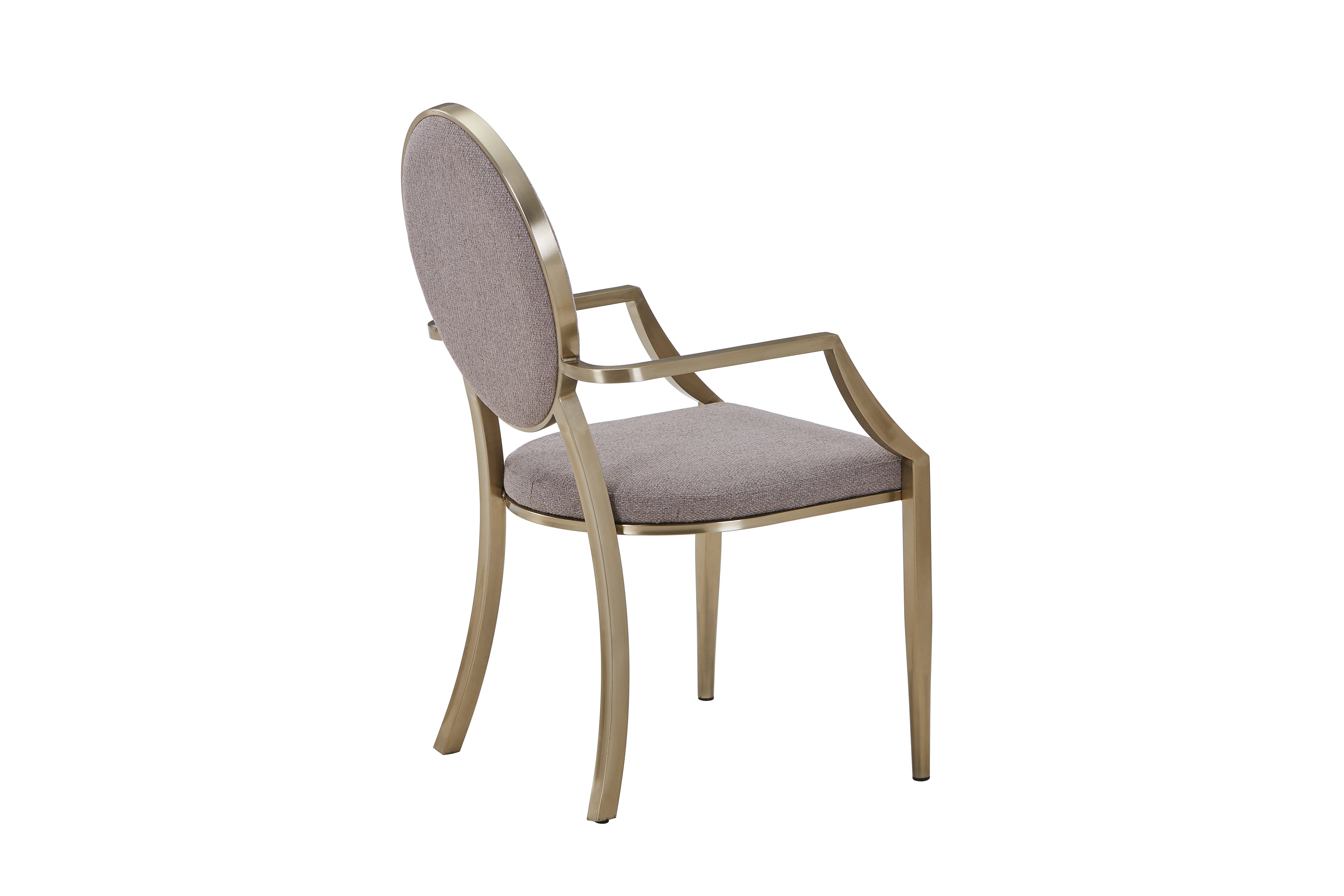 Stainless Steel Frame Dining Chair HTC803（2 Chairs） | Fondhouse