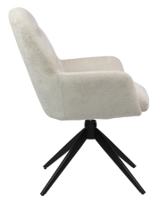 Dining Chair  HTC0529 | HOMETREE