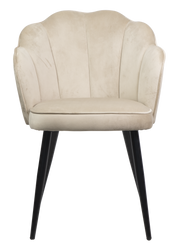 Dining chair HTC0579 | HOMETREE