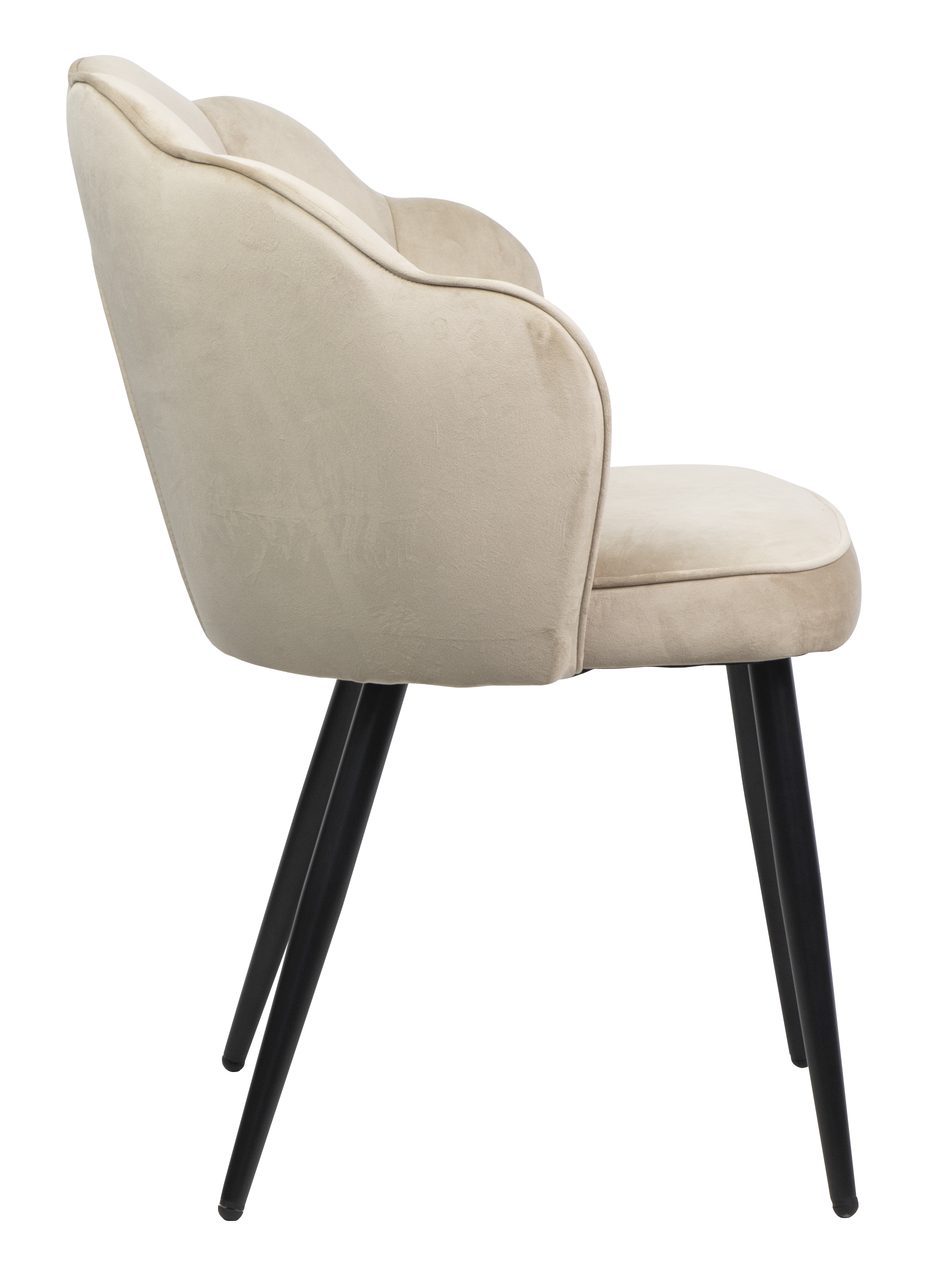 Dining chair HTC0579 | HOMETREE