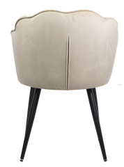 Dining chair HTC0579 | HOMETREE