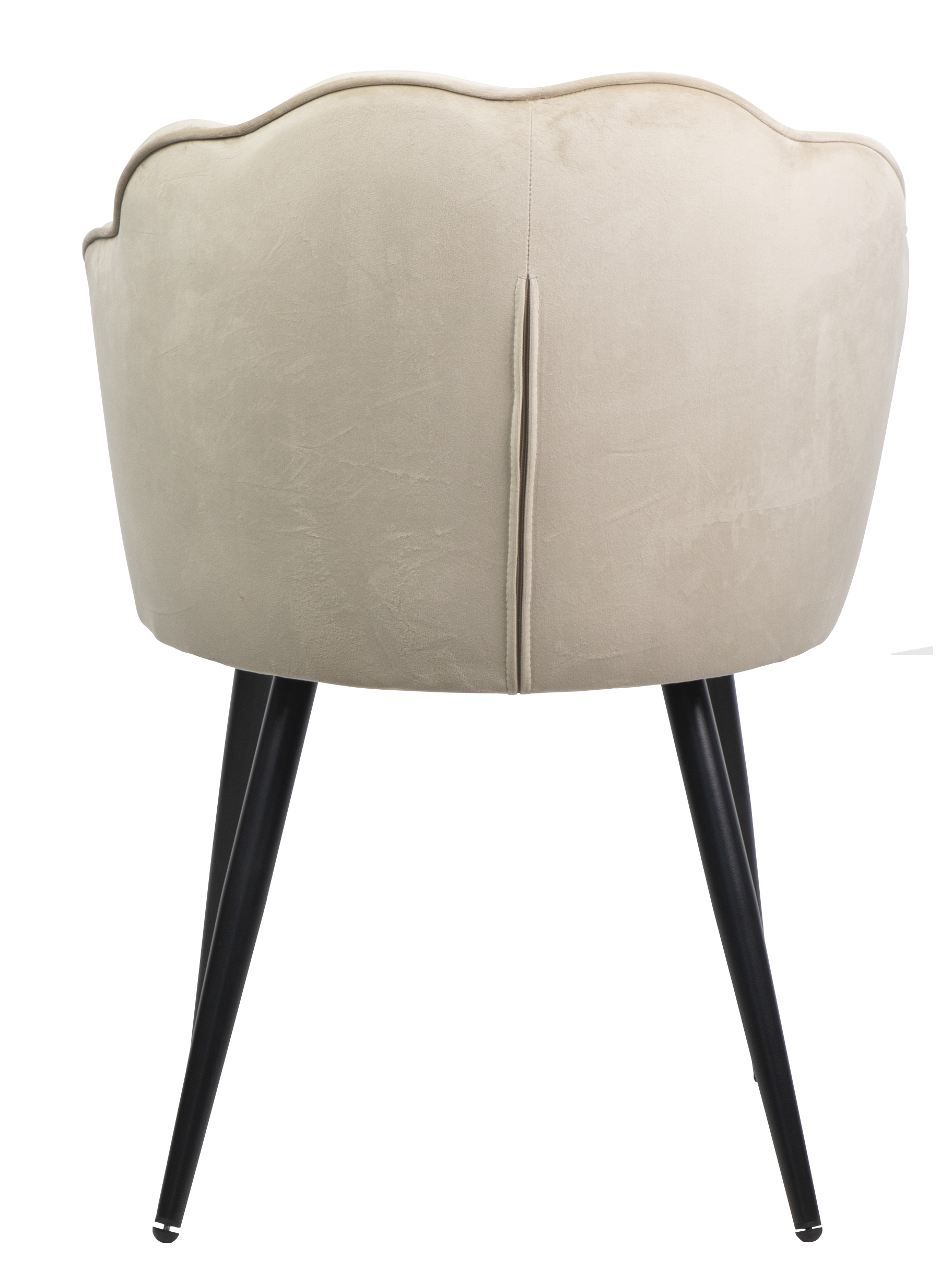 Dining chair HTC0579 | HOMETREE