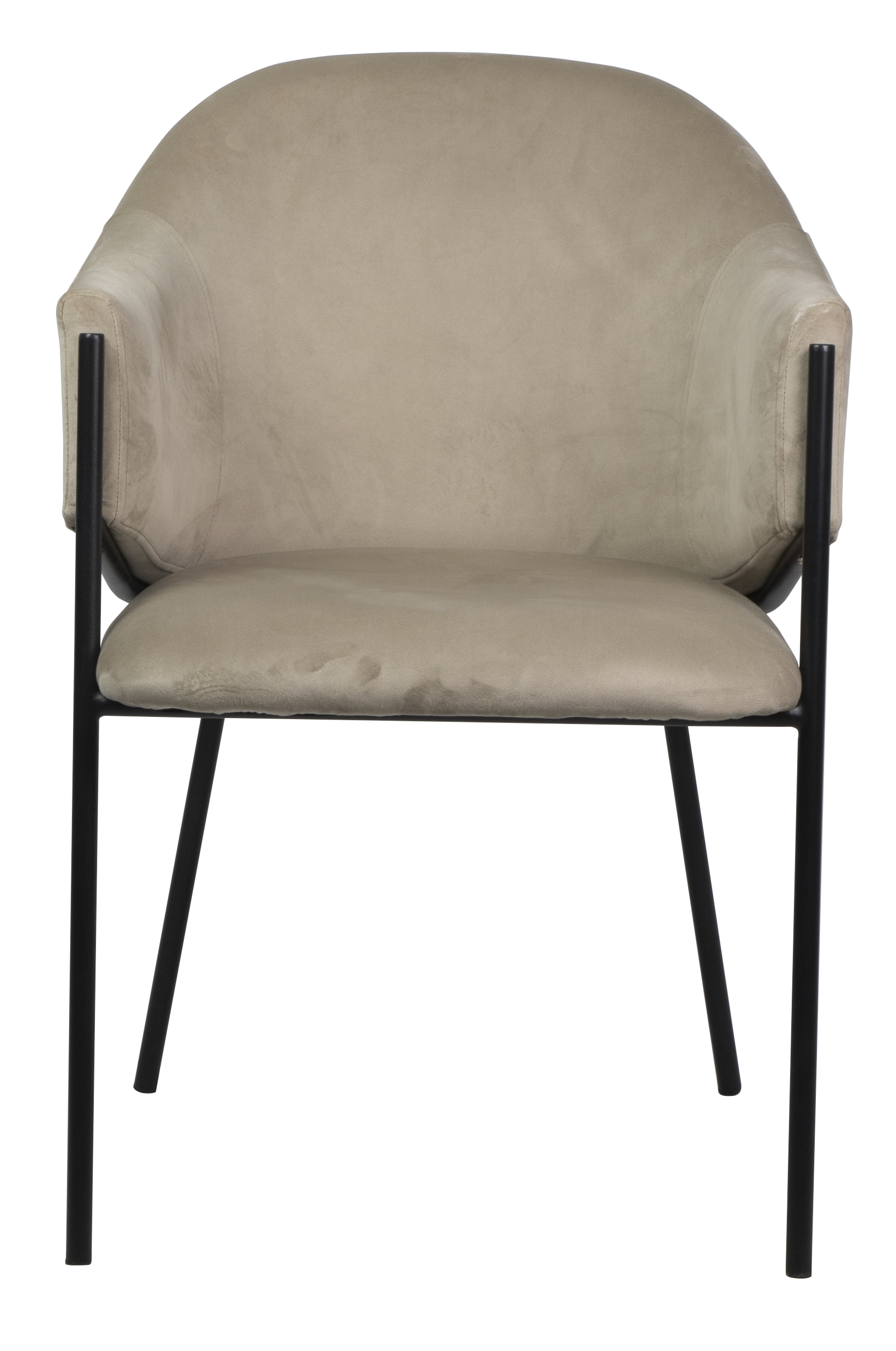 Dining chair HTC0541 | HOMETREE