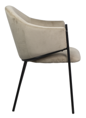 Dining chair HTC0541 | HOMETREE