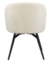 Dining chair HTC0553 | HOMETREE
